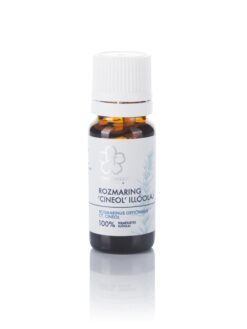 Rozmaring ’cineol’ illóolaj – Rosmarinus officinalis ct. cineol