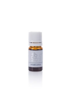 Gyömbér illóolaj – Zingiber officinale - közeli lejárat